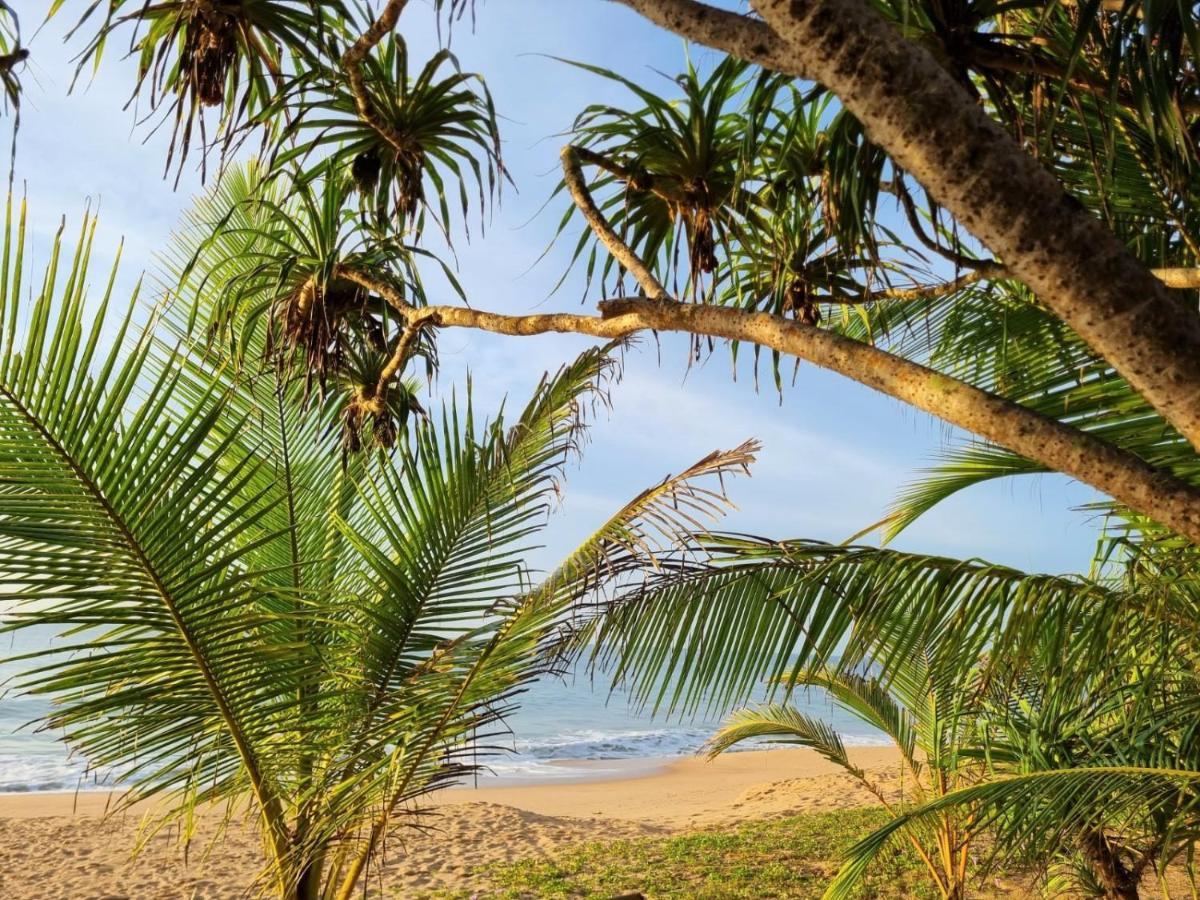 Golden Beach Paradise Tangalle Extérieur photo