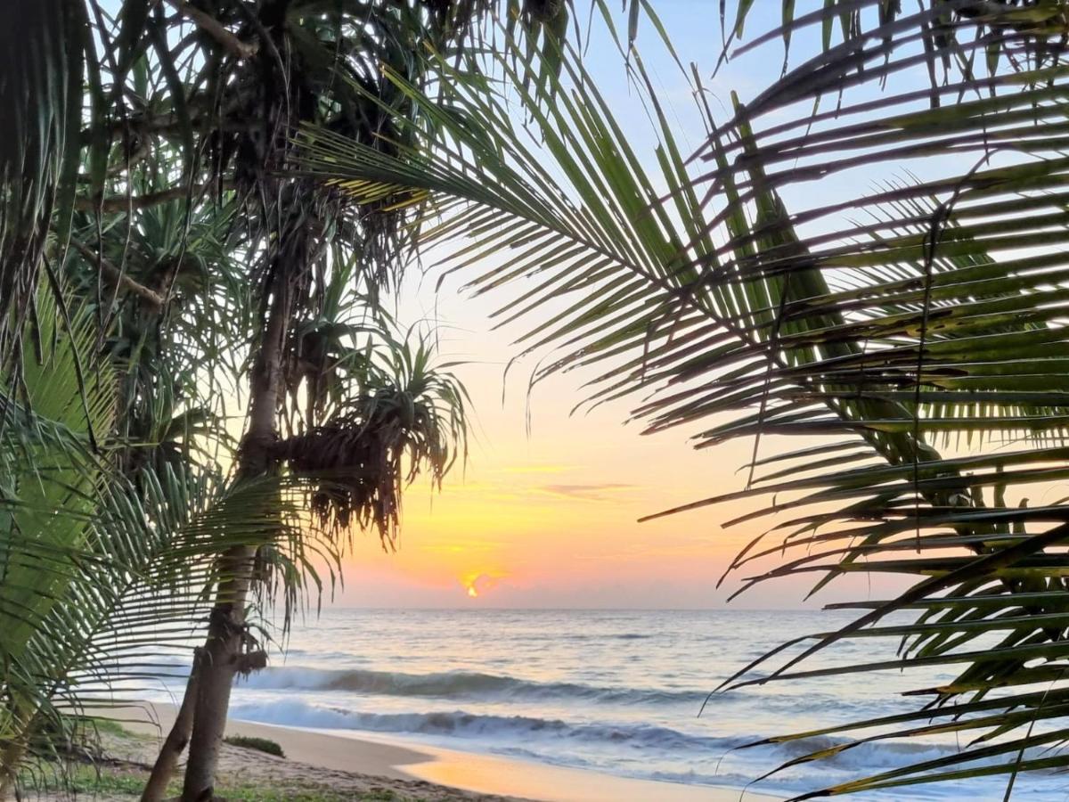 Golden Beach Paradise Tangalle Extérieur photo