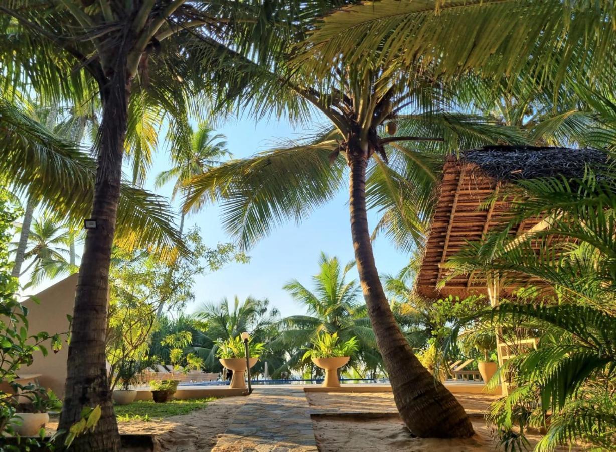 Golden Beach Paradise Tangalle Extérieur photo